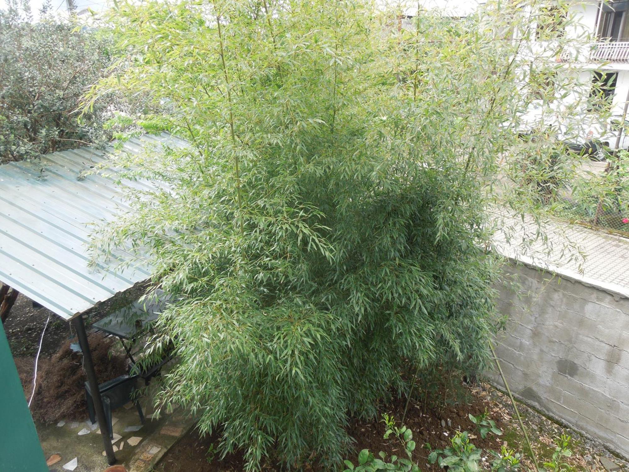 科布列季 Zaza酒店 外观 照片